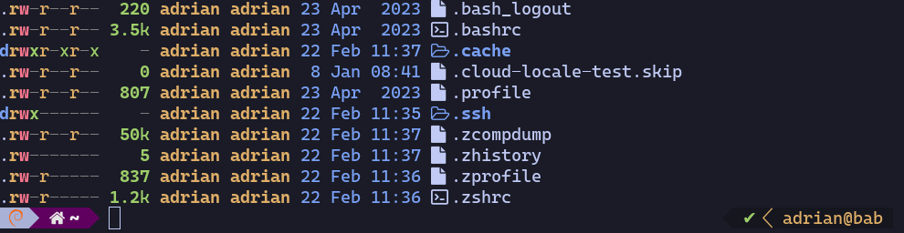 Momod shell prompt